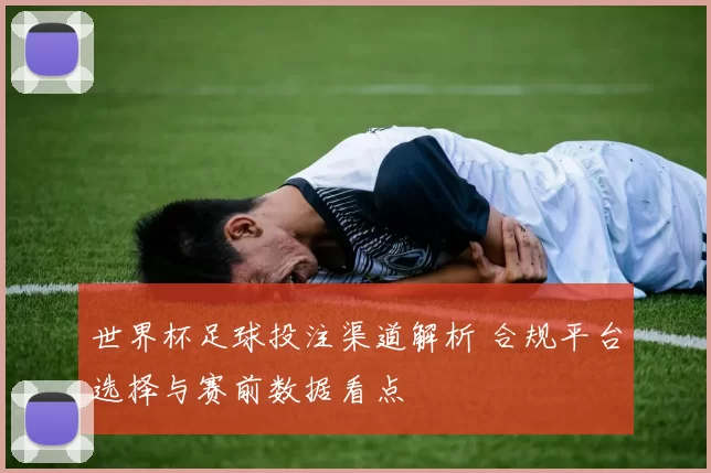 世界杯足球投注渠道解析 合规平台选择与赛前数据看点