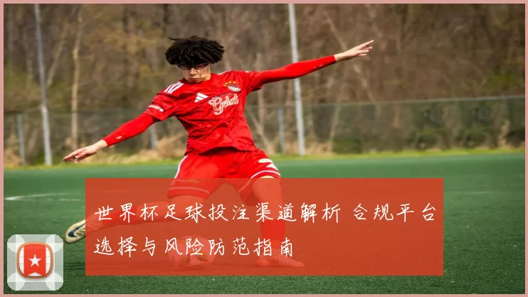 世界杯足球投注渠道解析 合规平台选择与风险防范指南
