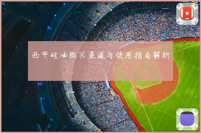 西甲硅油购买渠道与使用指南解析
