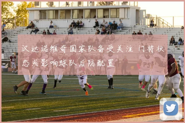 汉达诺维奇国家队备受关注 门将状态或影响球队后防配置