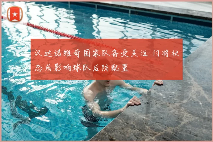 汉达诺维奇国家队备受关注 门将状态或影响球队后防配置