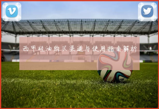 西甲硅油购买渠道与使用指南解析