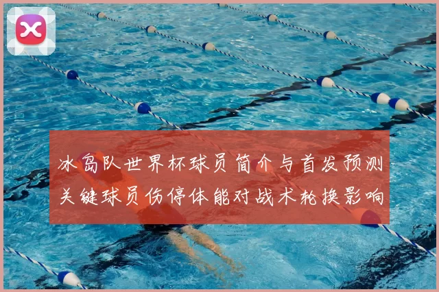 冰岛队世界杯球员简介与首发预测关键球员伤停体能对战术轮换影响