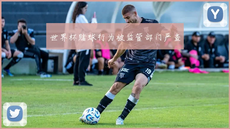 世界杯赌球行为被监管部门严查